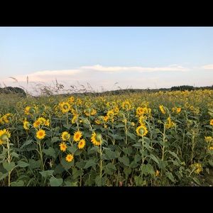 Meet your Posher, Katherine